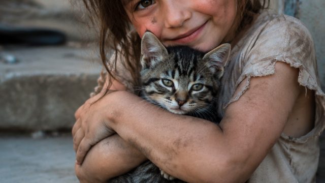 How a Little Girl and a Kitten Found Friendship and Strength Together